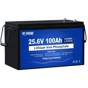 Акумуляторна батарея DCHOUSE LiFePO4 24V 100Ah