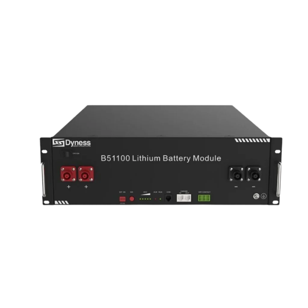 Акумуляторна батарея Dyness B51100