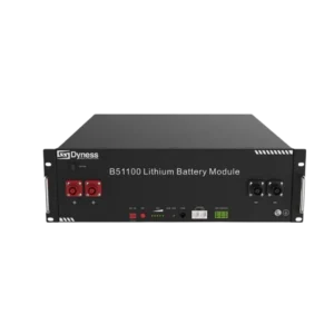 Акумуляторна батарея Dyness B51100