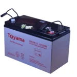 Акумуляторна батарея Toyama NPG100-12 — фото 2