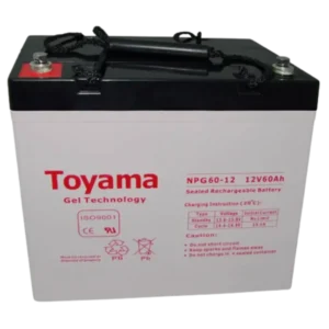 Акумуляторна батарея Toyama NPG60-12