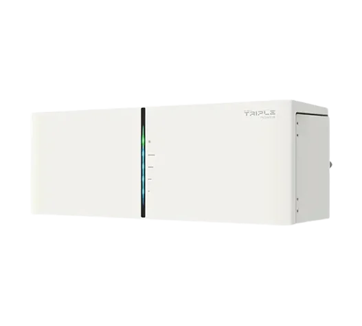Блок керування Solax Power Prosolax BMS MC0600