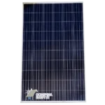 Сонячна панель Amerisolar AS-6P30-280P, 5bb, Poly